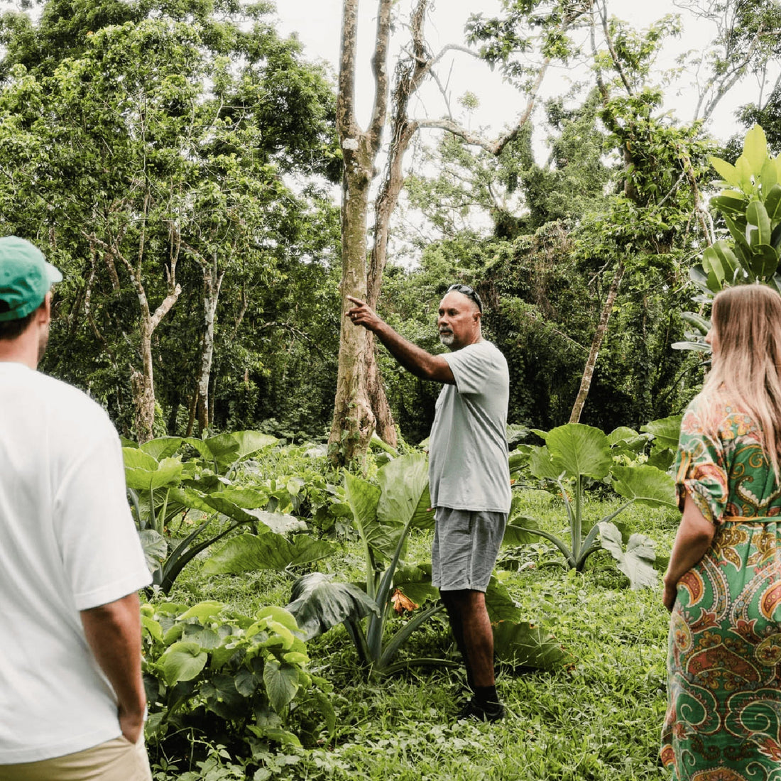 Alcohol Was Wrecking My Body. Kava Changed Everything. - Melo