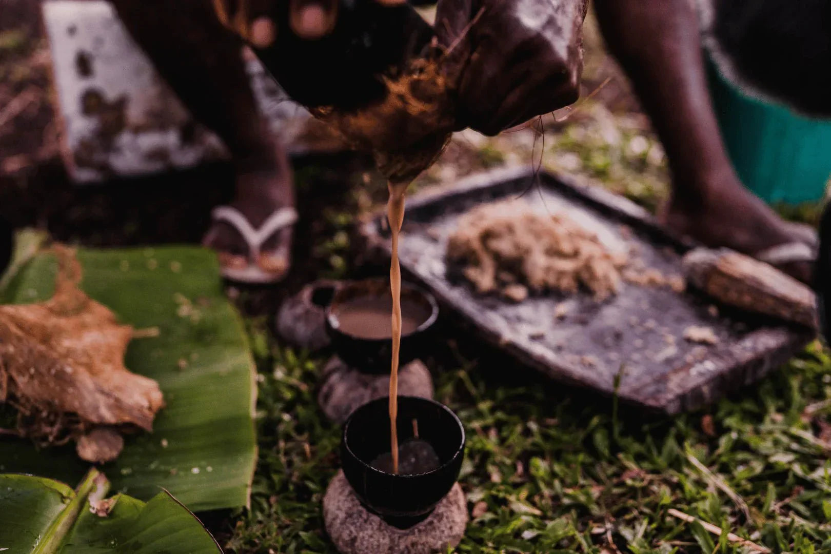 The Biggest Kava Myths, Debunked - Melo