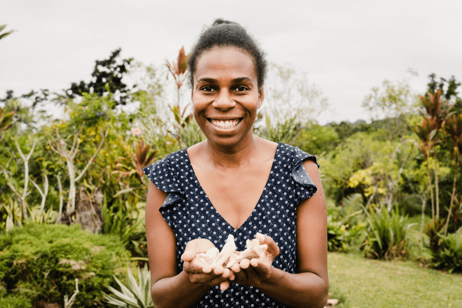 What is Kava? The Official Melo Guide - Melo