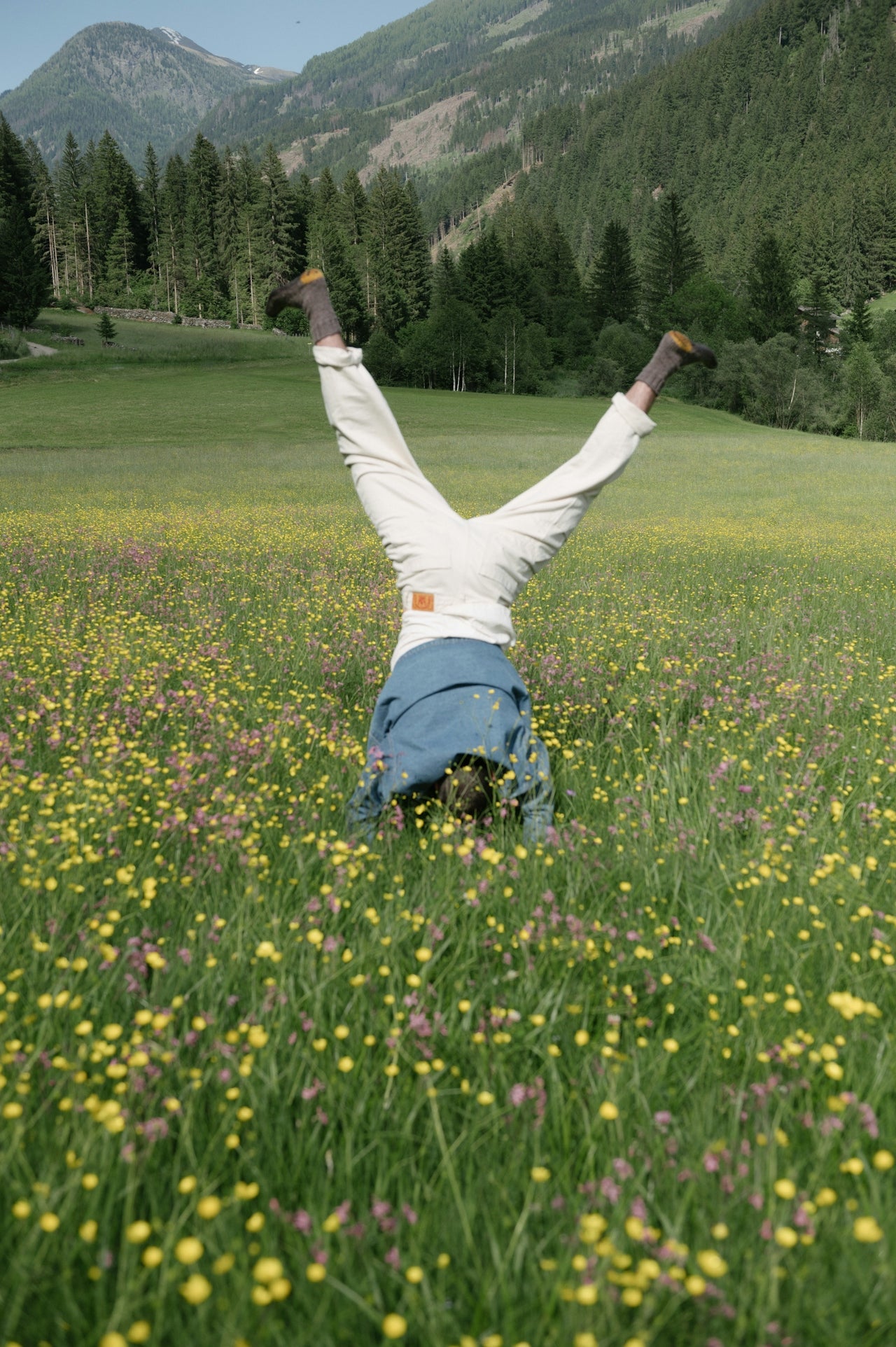 Person doing a handstand in a field of flowers with mountains in the background